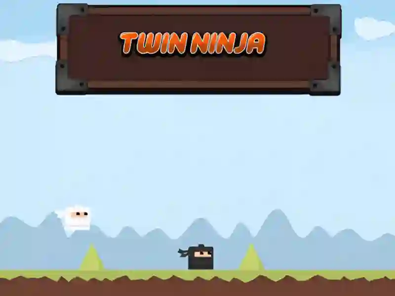 Jwèt Twin Ninja sou entènèt