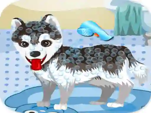 Jwèt My Cute Dog Bathing sou entènèt