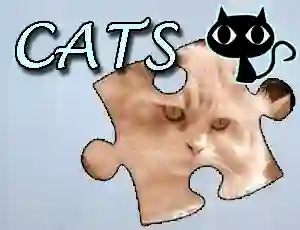 Jwèt Jigsaw Puzzle: Cats sou entènèt