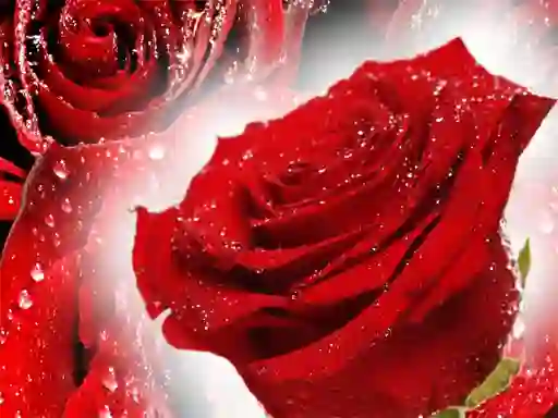 Jwèt Red Roses sou entènèt