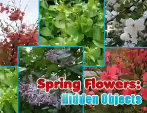 Jwèt Spring Flowers: Hidden Objects sou entènèt