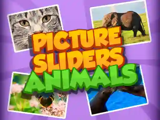 Jwèt Picture Slider Animals sou entènèt