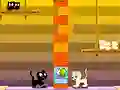 Jwèt Swing Cat sou entènèt