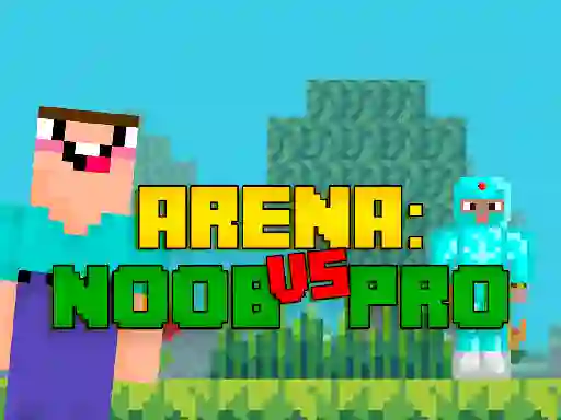 Jwèt Arena: Noob vs Pro sou entènèt