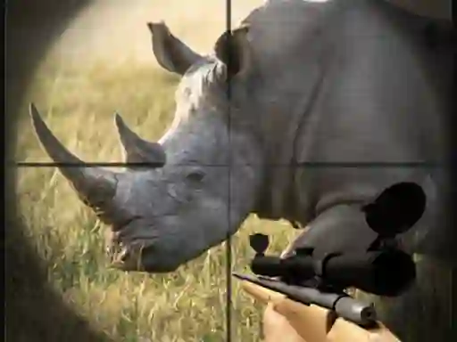 Jwèt Wild Rhino Hunter sou entènèt