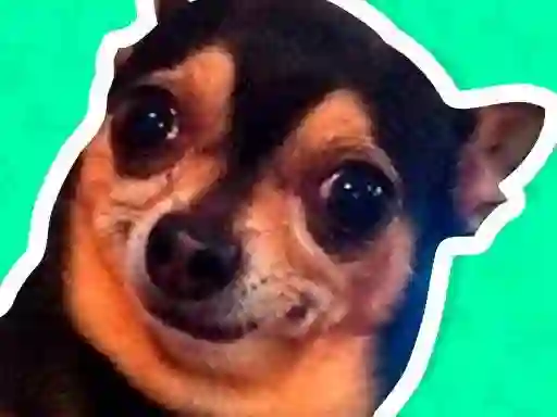 Jwèt What meme dog are you ? sou entènèt