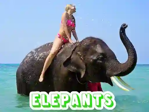 Jwèt Elephants Puzzle sou entènèt