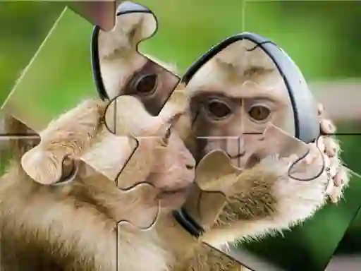 Jwèt Chimpanzee Jigsaw sou entènèt