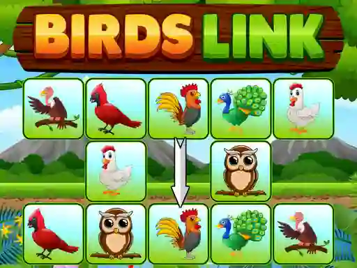 Jwèt Birds Link sou entènèt