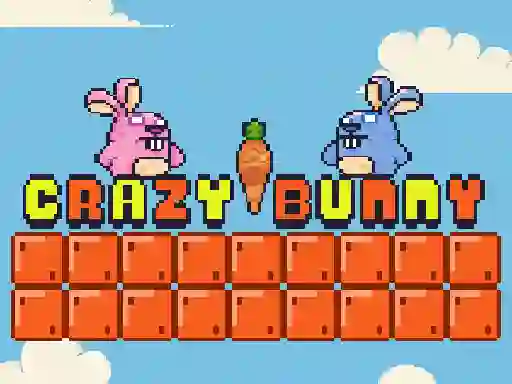 Jwèt Crazy Bunny sou entènèt