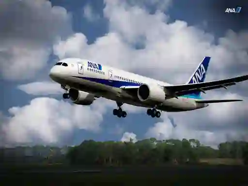 Jwèt Boeing Dreamliner Puzzle sou entènèt