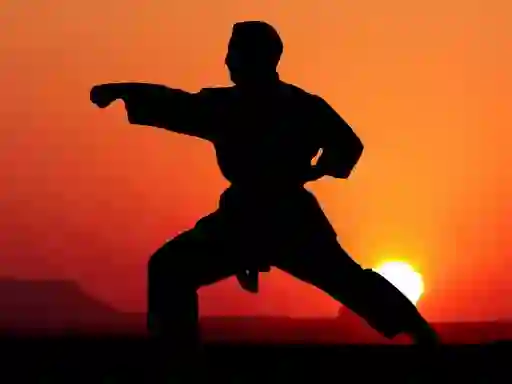 Jwèt Karate Sunset Warriors sou entènèt