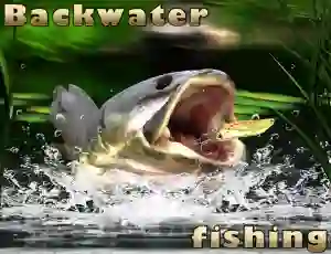 Jwèt Backwater Fishing sou entènèt