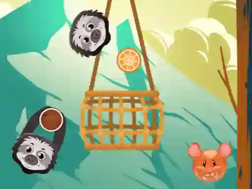 Jwèt Slings To The Basket sou entènèt