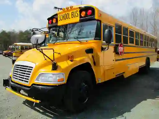 Jwèt School Buses Puzzle sou entènèt