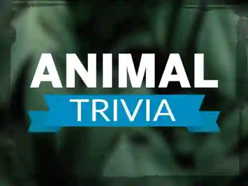 Jwèt Animal Trivia sou entènèt