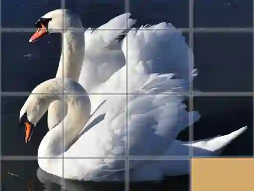 Jwèt Animals Slide Puzzle sou entènèt