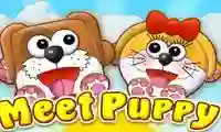 Jwèt Meet Puppy sou entènèt