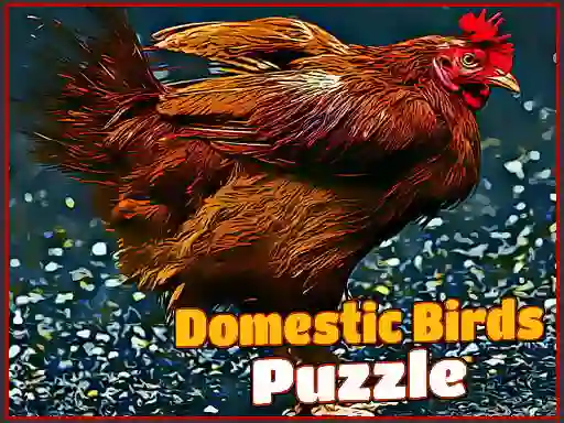 Jwèt Domestic Birds Puzzle sou entènèt
