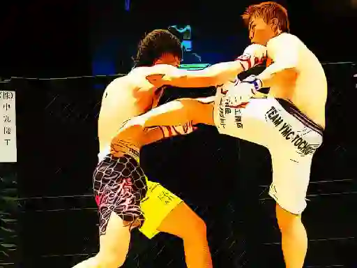 Jwèt UFC Fighting Match Jigsaw sou entènèt