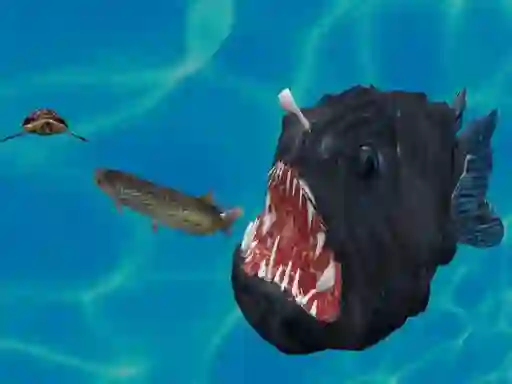 Jwèt Fish 3d sou entènèt