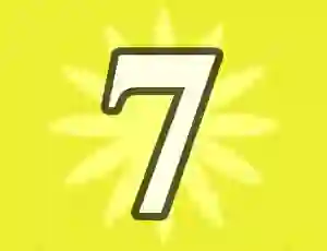 Jwèt Number 7 sou entènèt