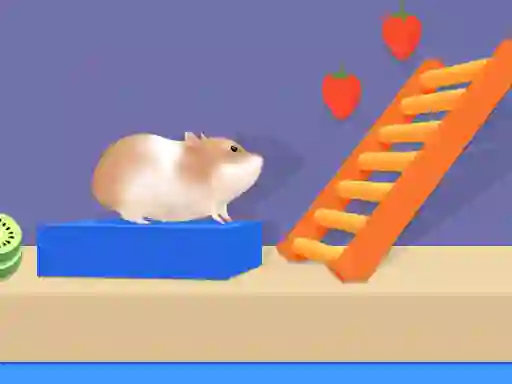 Jwèt Hamster Maze Online sou entènèt