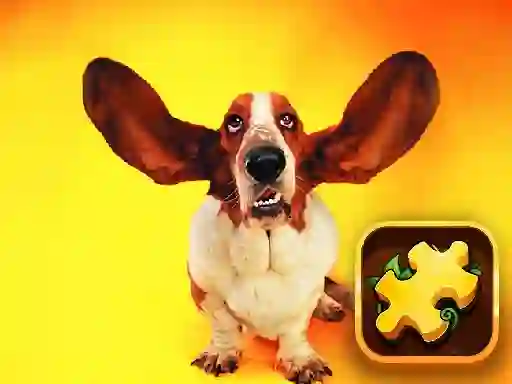 Jwèt Funny Dogs Puzzle sou entènèt