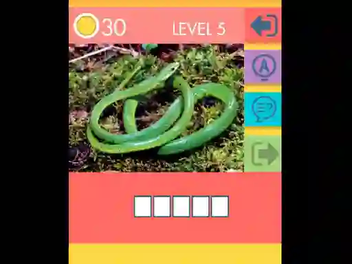 Jwèt 15 Picture Quiz sou entènèt