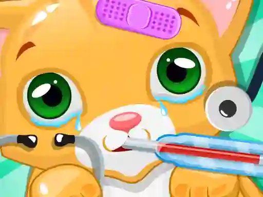 Jwèt Kitty Doctor sou entènèt