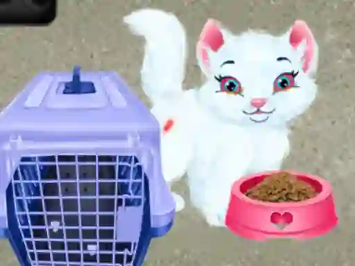 Jwèt Baby Taylor Pet Care sou entènèt
