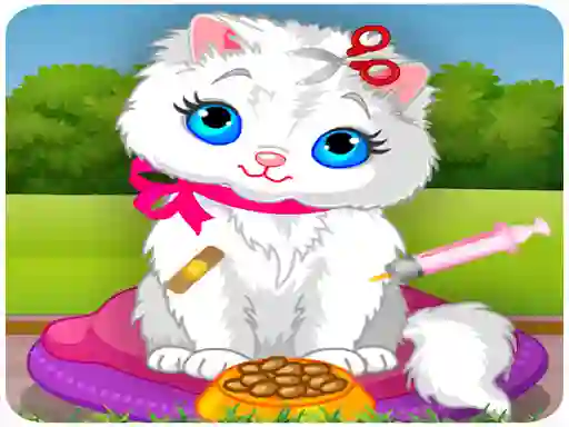 Jwèt Vet Cat Clinic sou entènèt
