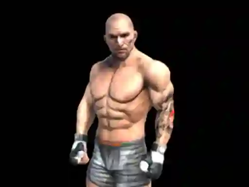 Jwèt Fight Arena Online sou entènèt