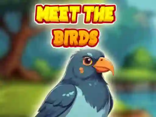 Jwèt Meet The Birds sou entènèt