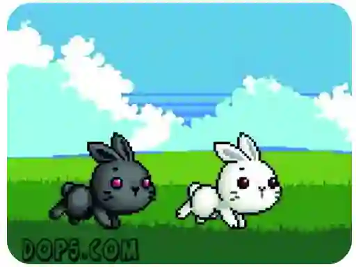 Jwèt Cute Rabbit sou entènèt