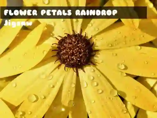 Jwèt Flower Petals Raindrop Jigsaw sou entènèt