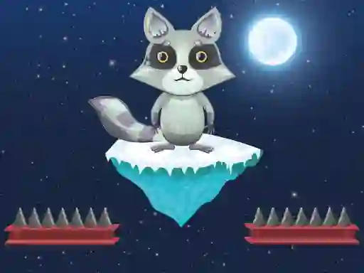 Jwèt Jumping Raccoon sou entènèt