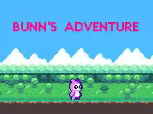 Jwèt Bunn's Adventure sou entènèt