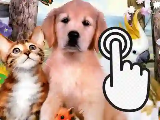 Jwèt Pets Clicker sou entènèt