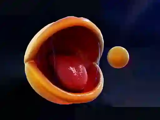 Jwèt Pac-Man sou entènèt
