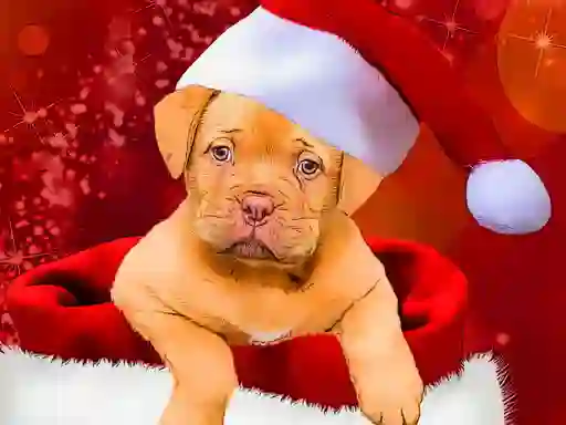 Jwèt Christmas Dogs Styles sou entènèt