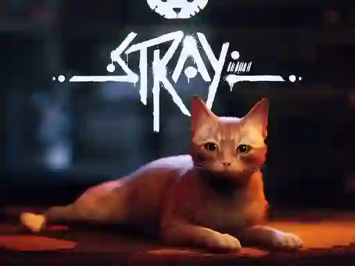 Jwèt Stray sou entènèt