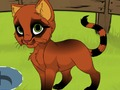 Jwèt Kitten mwen  sou entènèt