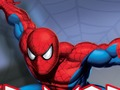 Jwèt Spider vanyan sòlda  sou entènèt