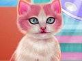 Jwèt Kitty dantè k ap pran swen  sou entènèt