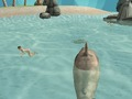 Jwèt Reken similatè Beach asasen  sou entènèt