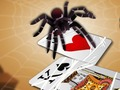 Jwèt Sote Spider  sou entènèt