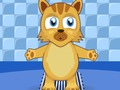 Jwèt Kitten bèt kay Carer  sou entènèt