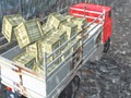 Jwèt Offroad kamyon chofè  sou entènèt