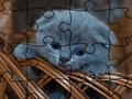 Jwèt Devinèt tèt: Chat  sou entènèt